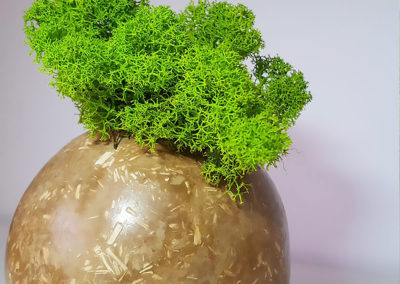 MADE IN TERRA 1
