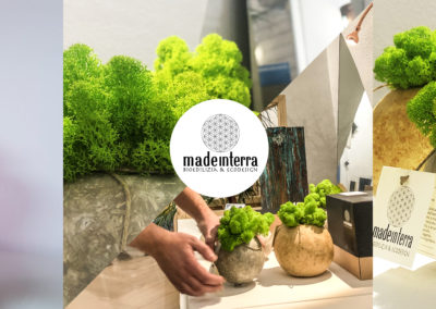 Made in  Terra